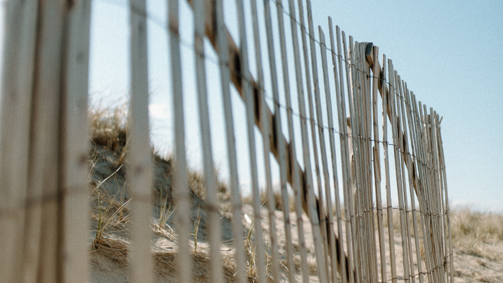 Cape cod beach fence